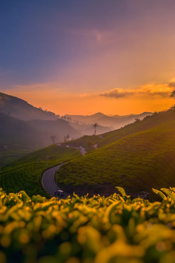 Splendid Kerala Package