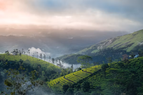 Exotic Kerala Package